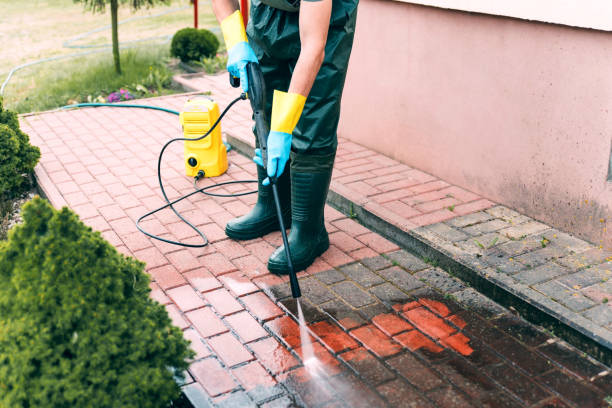 Best Pressure Washing Siding  in Bridgeport, IL