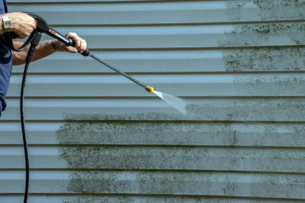 Best Affordable Pressure Washing  in Bridgeport, IL