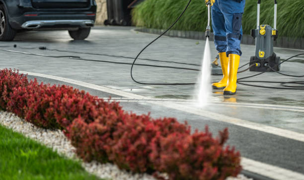 Best Commercial Building Pressure Washing  in Bridgeport, IL